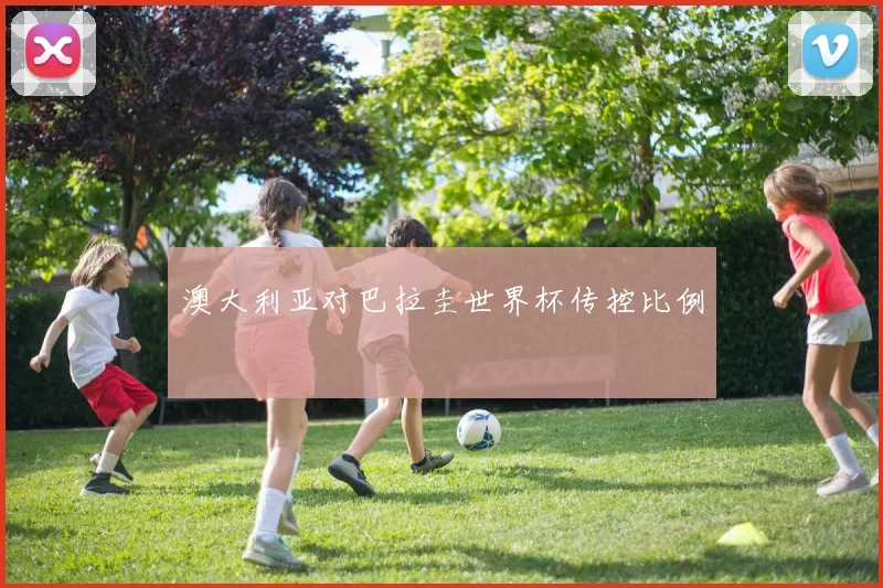 澳大利亚对巴拉圭世界杯传控比例