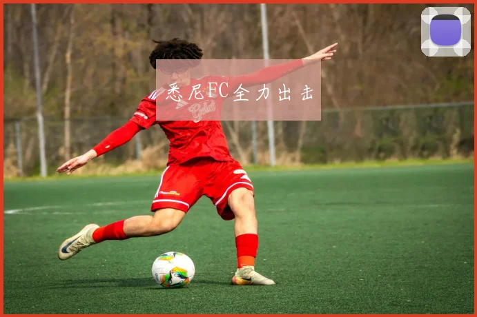 悉尼FC全力出击