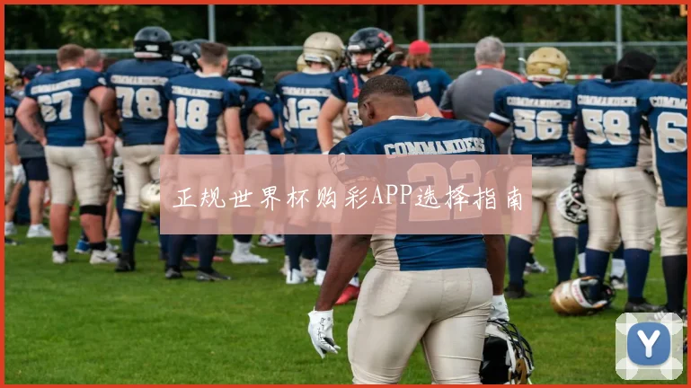 正规世界杯购彩APP选择指南