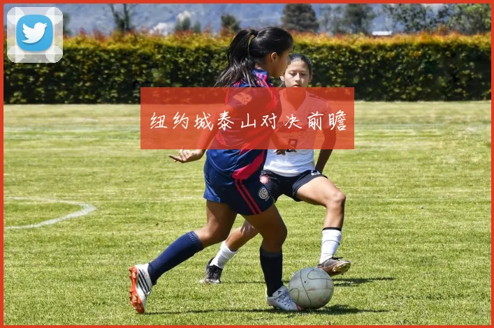 纽约城泰山对决前瞻