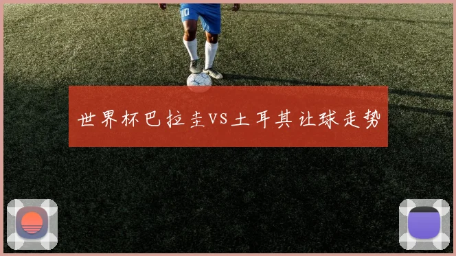 世界杯巴拉圭vs土耳其让球走势