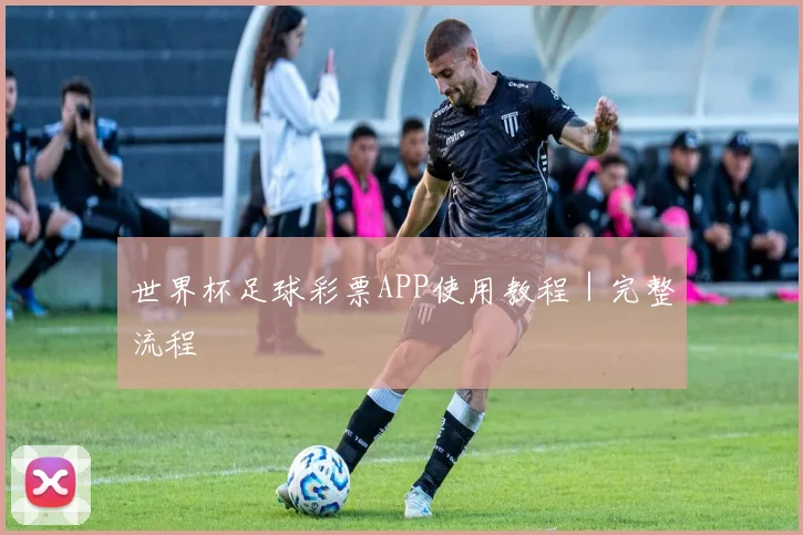 世界杯足球彩票APP使用教程|完整流程