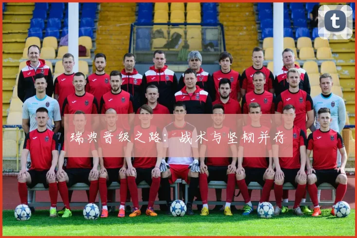 瑞典晋级之路：战术与坚韧并存