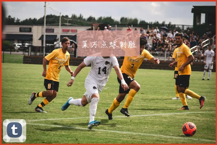 莱万点球制胜