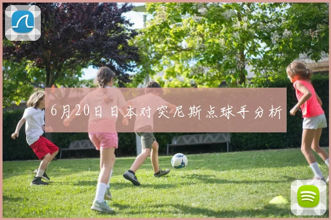 6月20日日本对突尼斯点球手分析