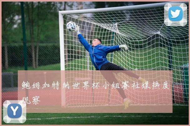 鲍姆加特纳世界杯小组赛社媒热度观察