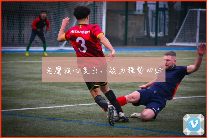 老鹰核心复出，战力强势回归