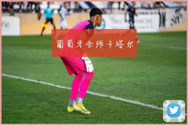 葡萄牙会师卡塔尔