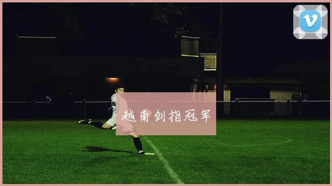 越南剑指冠军