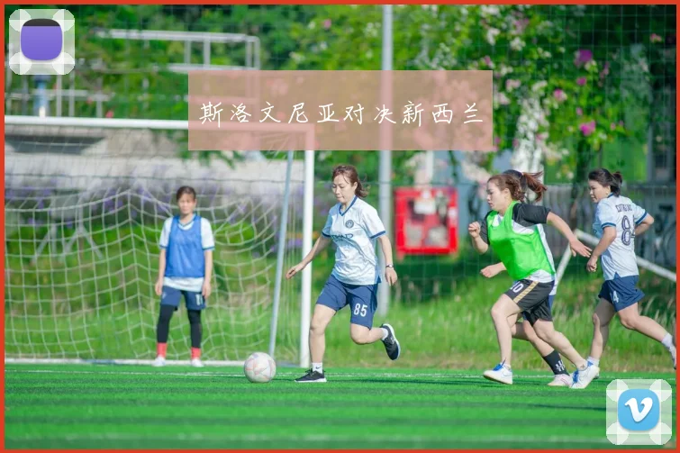 斯洛文尼亚对决新西兰