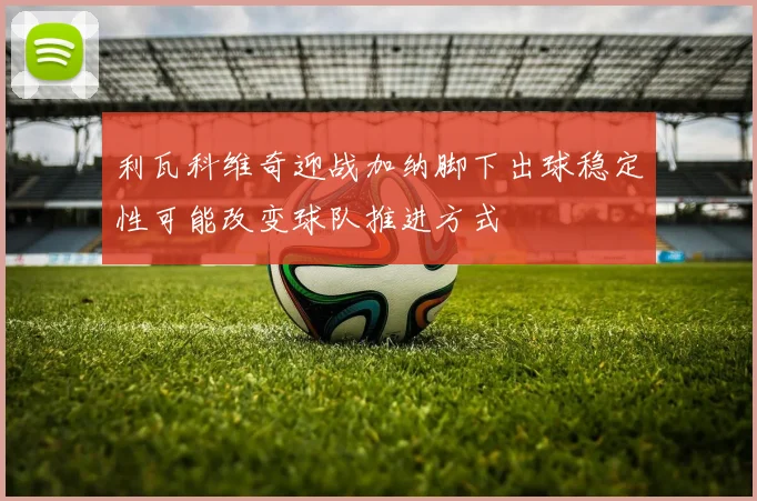 利瓦科维奇迎战加纳脚下出球稳定性可能改变球队推进方式