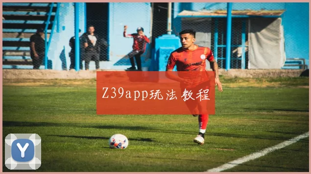 Z39app玩法教程