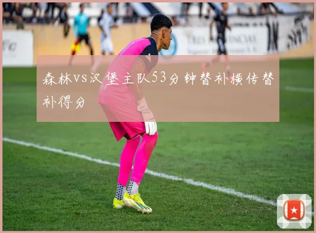 森林vs汉堡主队53分钟替补横传替补得分