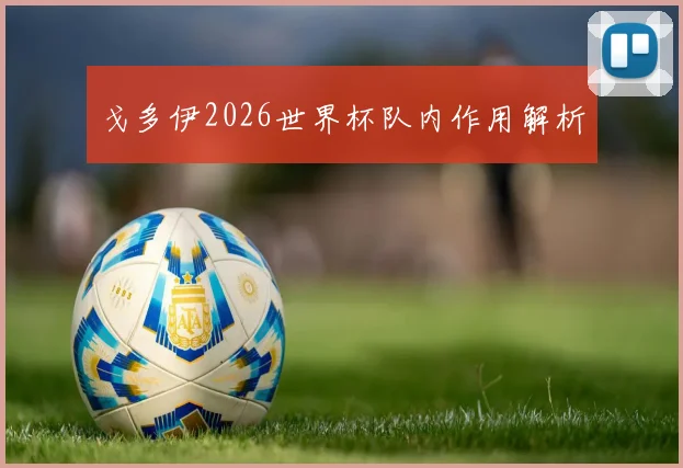 戈多伊2026世界杯队内作用解析