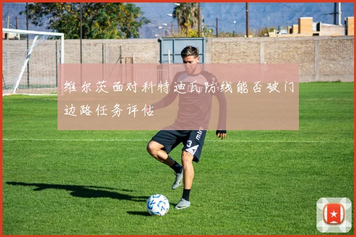 维尔茨面对科特迪瓦防线能否破门边路任务评估