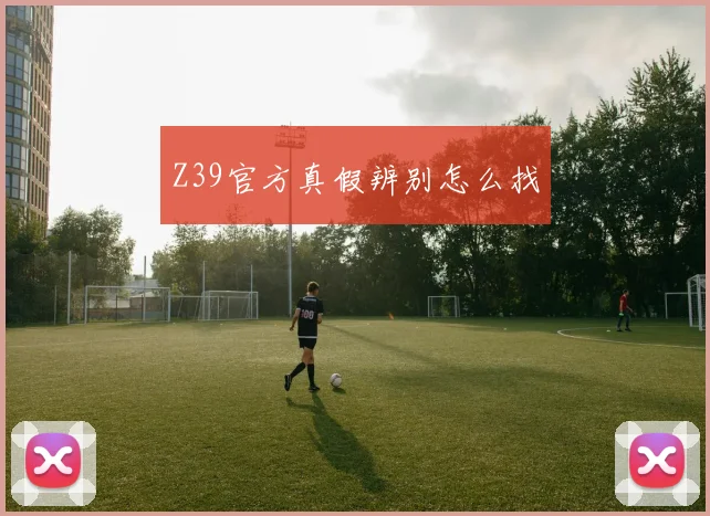 Z39官方真假辨别怎么找