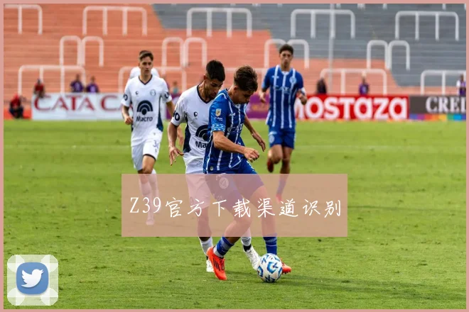 Z39官方下载渠道识别