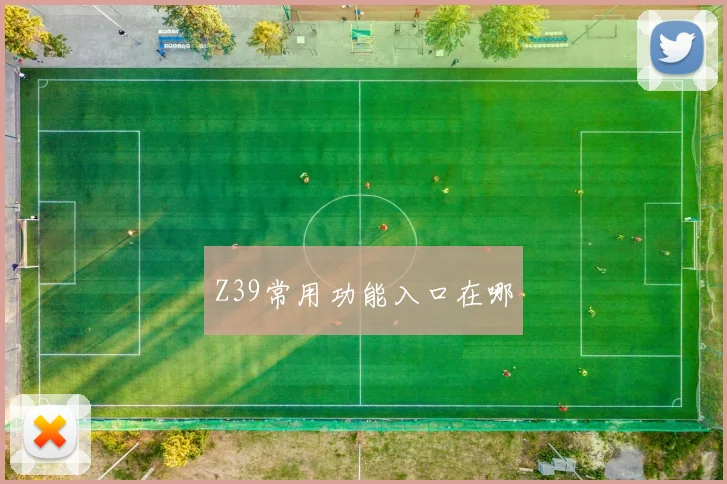 Z39常用功能入口在哪