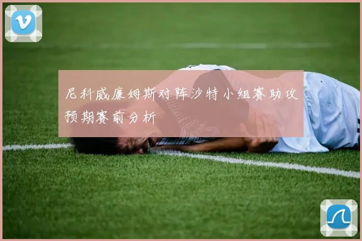 尼科威廉姆斯对阵沙特小组赛助攻预期赛前分析